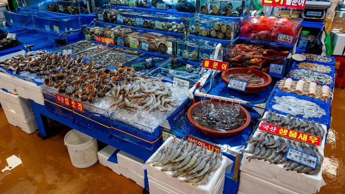 Seafood display at a market in Seoul, South Korea.
