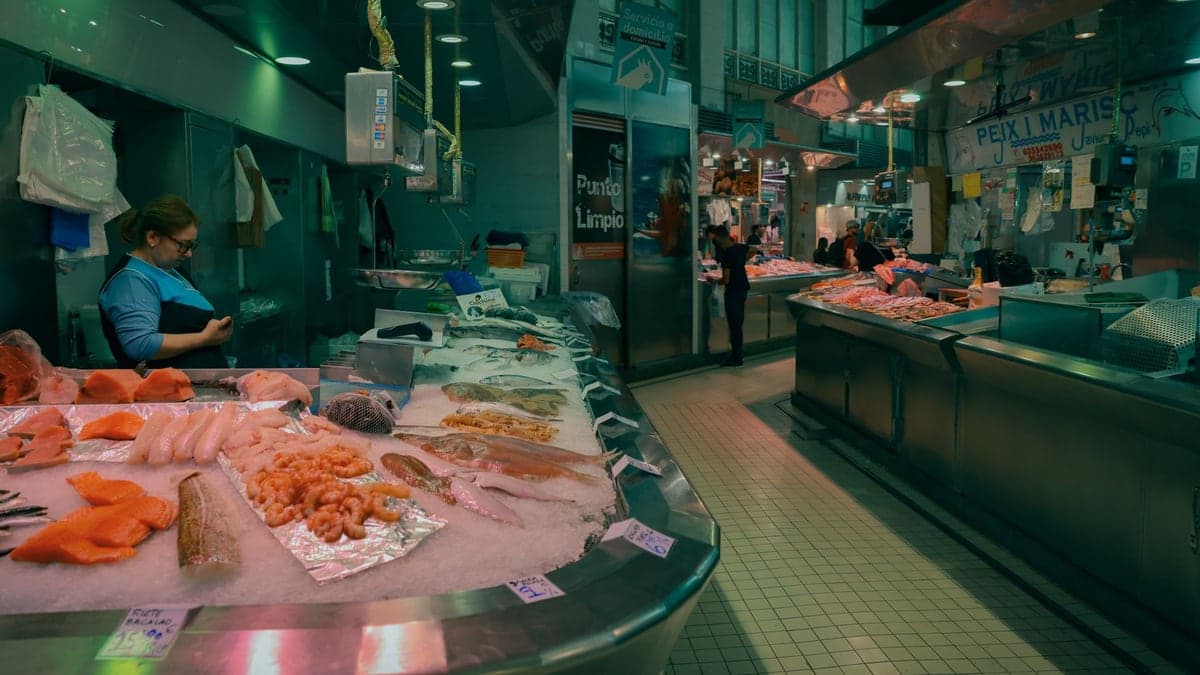 Fresh fish and shellfish at a seafood market in Valencia, Spain.