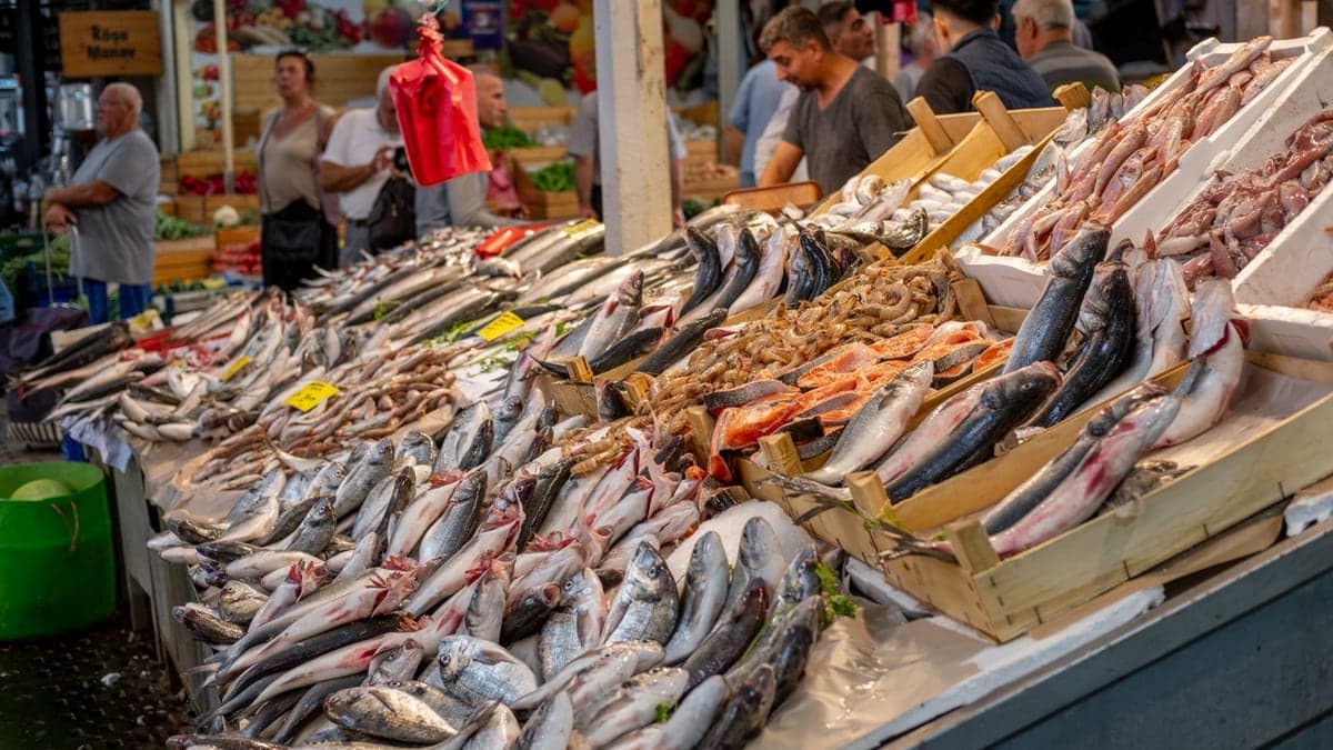 Fresh fish at a seafood market in Izmir, Türkiye.