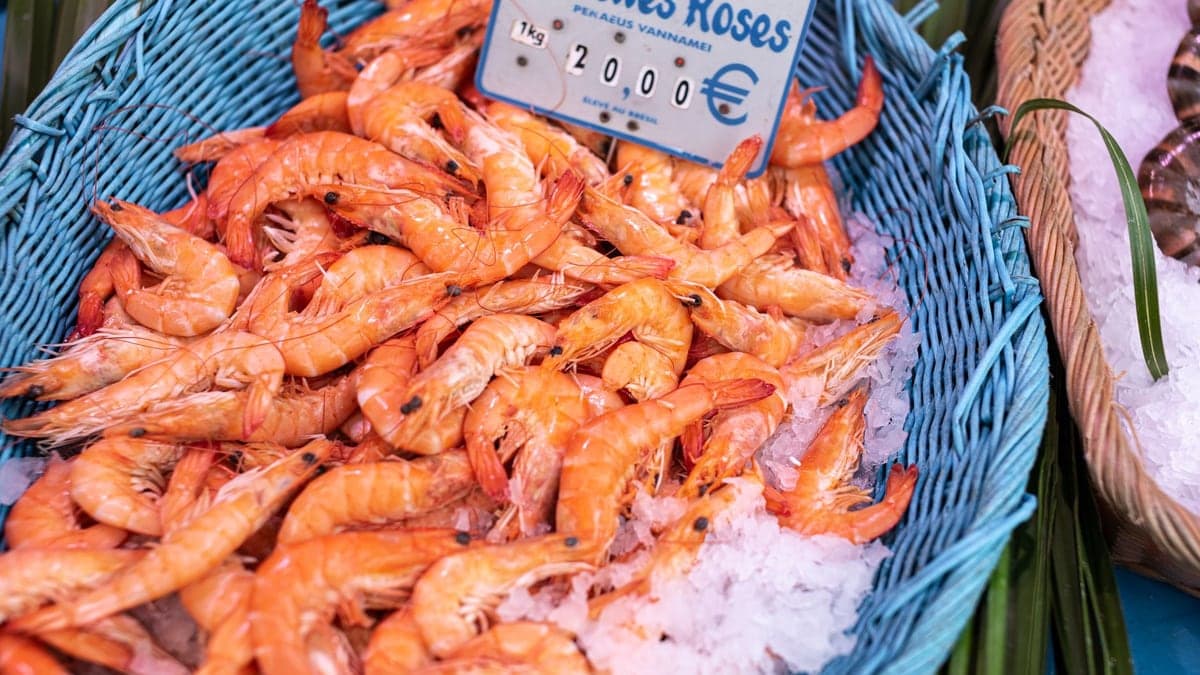 Poissons et fruits de mer frais présentés sur un marché à Paris.