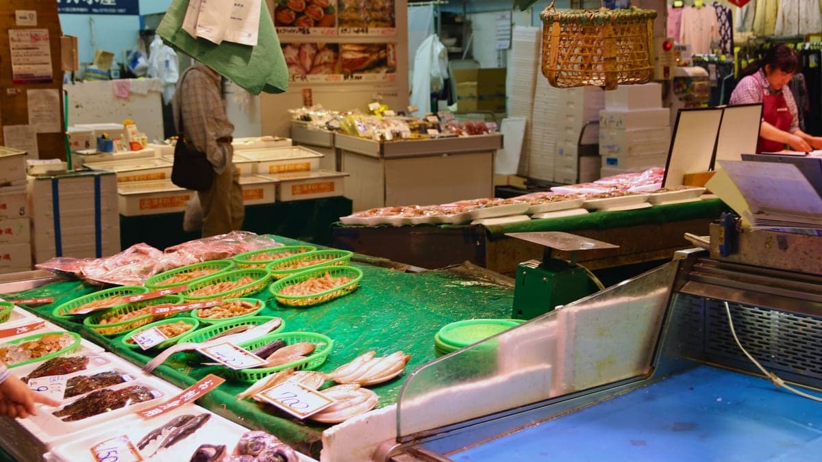 Seafood display at a market in Kanazawa, Japan.